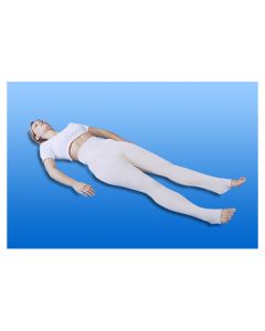 Pantal. D38-H44,naturel,adulte